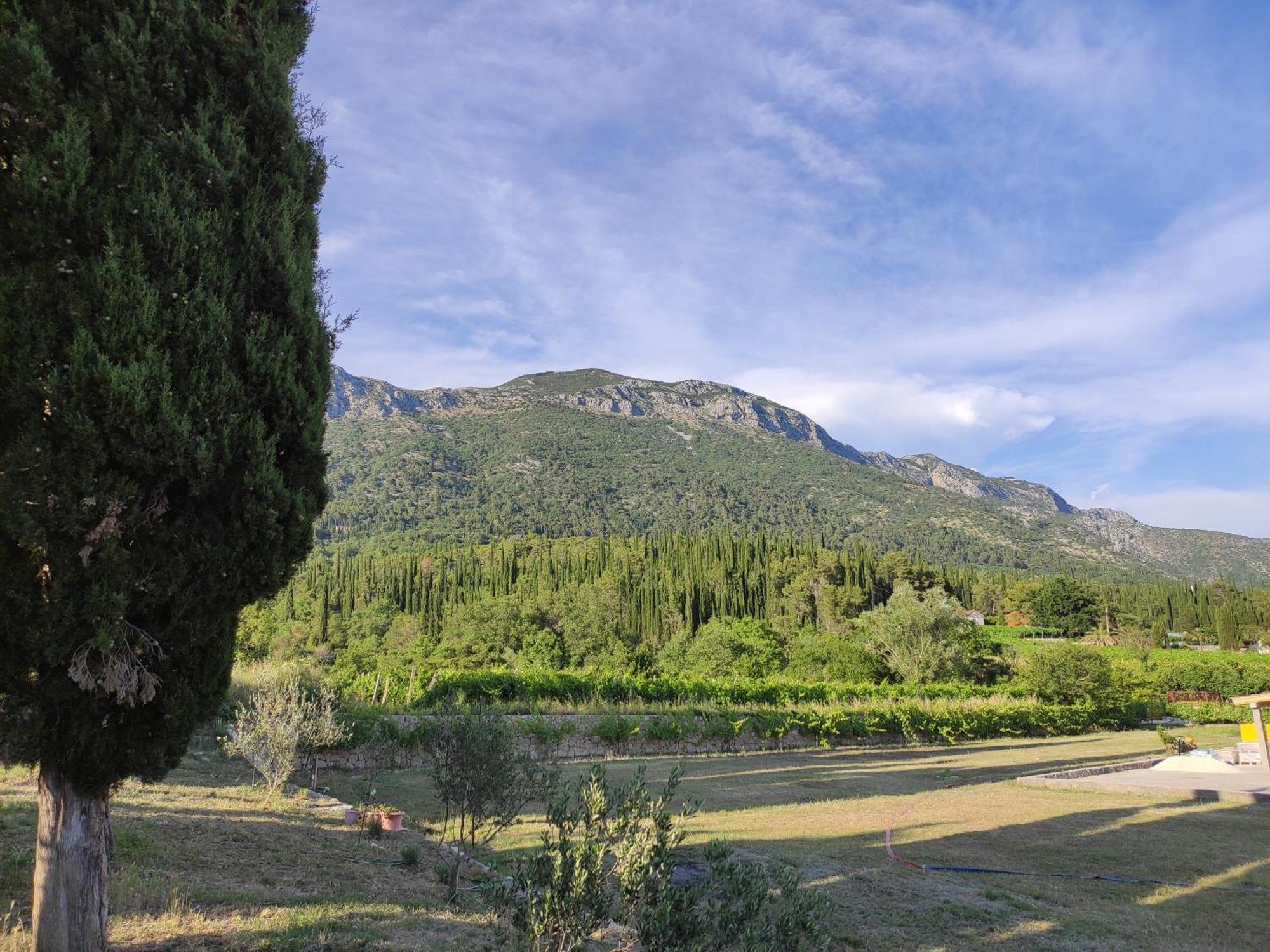 Lovorno Country House Uros In Nature With Pool מראה חיצוני תמונה