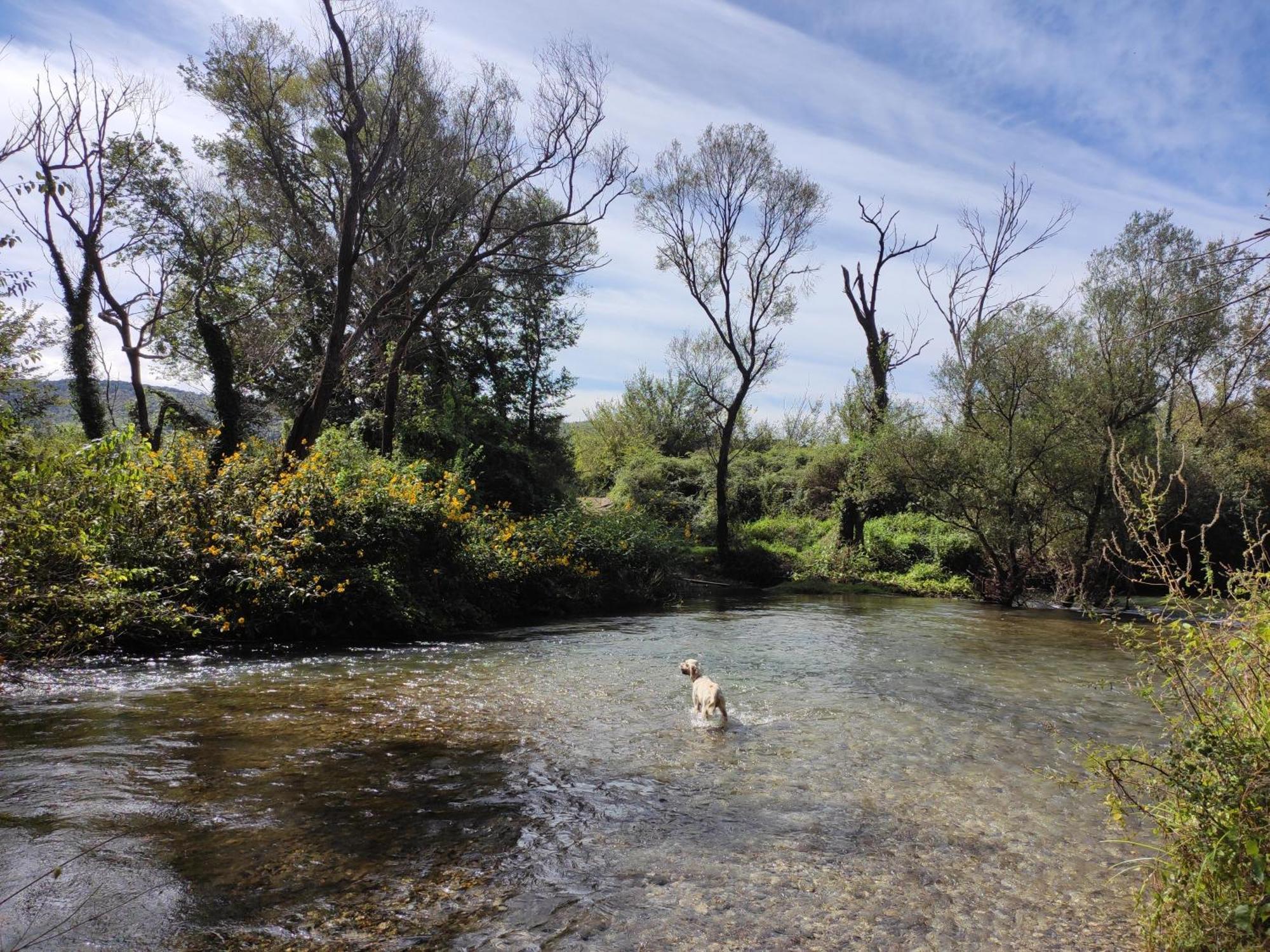 Lovorno Country House Uros In Nature With Pool מראה חיצוני תמונה